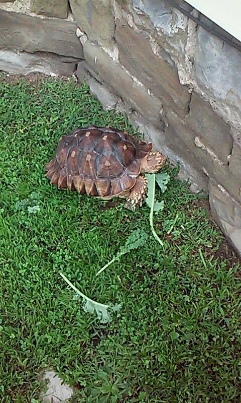 "FRANK"lovin the outdoors