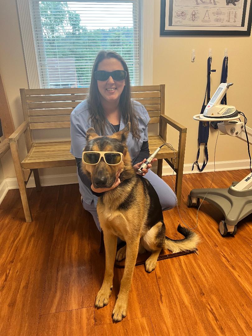 Laser Therapy